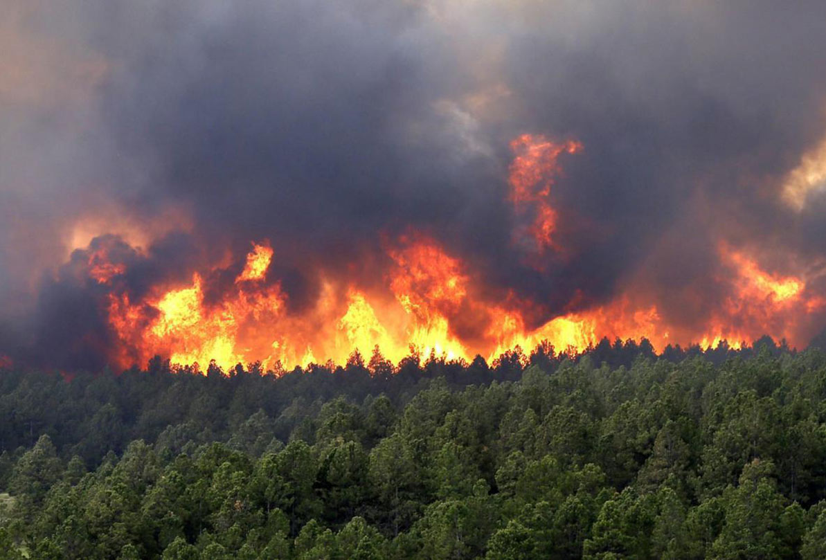 آتش سوزی در جنگل گلوگاه مازندران