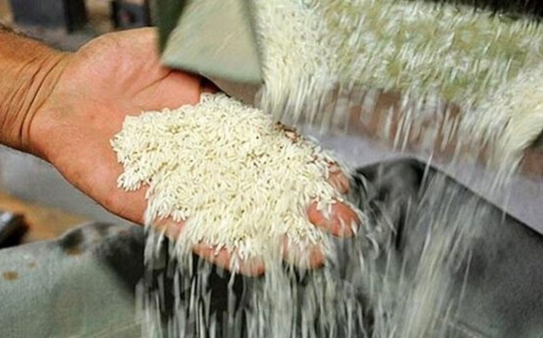 برنج ایرانی ۵۵ درصد گران شد