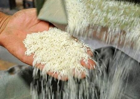 توزیع ۱۰۰ هزار تن برنج وارداتی برای تنظیم بازار
