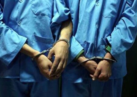 دستگیری ۶ سارق و مالخر در سیرجان