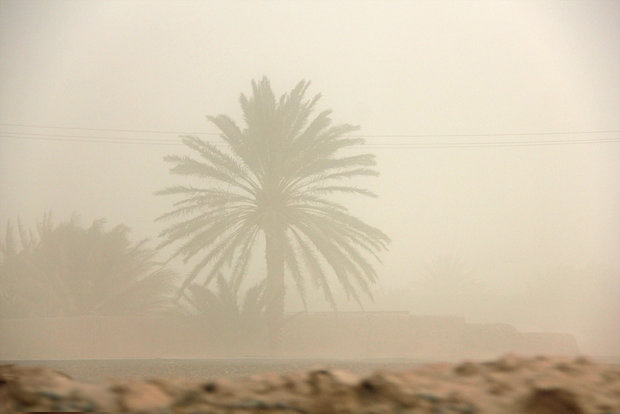 طوفان و احتمال گرد و غبار در استان