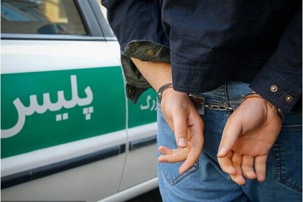 ۷۰۰ کیلوگرم مواد مخدر در کرمان کشف شد/ دستگیری یک قاچاقچی