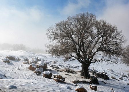 باران، برف و سیل در راه استان کرمان، هشدار زرد صادر شد